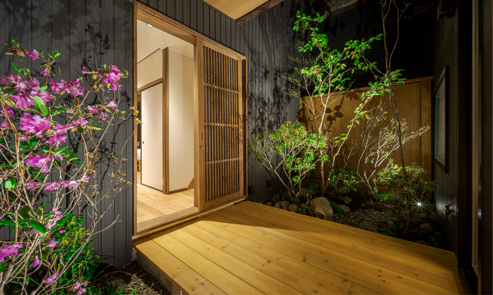 suiki view 5